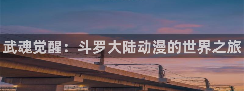 动漫岛官方版下载：武魂觉醒：斗罗大陆动漫的世界之旅
