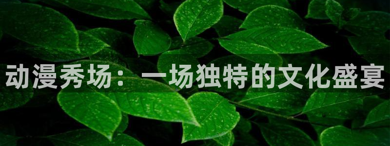 小区动漫岛：动漫秀场：一场独特的文化盛宴