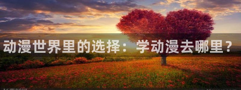 动漫岛最新：动漫世界里的选择：学动漫去哪里？